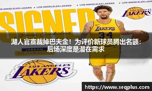 BSport必一
